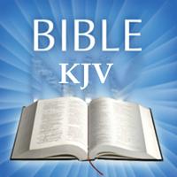 KJV Bible Offline ภาพหน้าจอ 2
