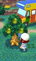 Hints for Animal Crossing Pocket Camp الملصق