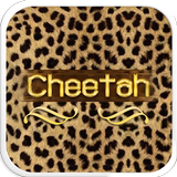 Cheetah simgesi
