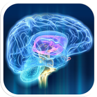 Brain icon