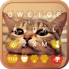 Cute Kitty Emoji Keyboard Theme Wallpaper simgesi