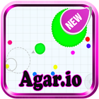New Agar.io Skins Tips icône
