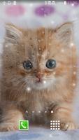 Kittens Live Wallpaper ảnh chụp màn hình 1