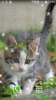 Kittens Live Wallpaper تصوير الشاشة 2