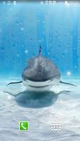 Shark Affiche