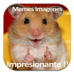 Memes Imagenes
