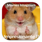 Memes Imagenes ไอคอน