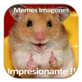 Memes Imagenes icône
