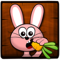Ninja Rabbit