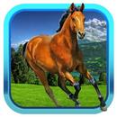 Pony Dash 3D aplikacja