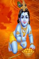 Hindi Sri Krishna Devotional Songs ảnh chụp màn hình 2
