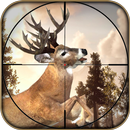 Forest Hunting Deer Hunting Sim 2018 APK