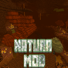 Natura Mod Minecraft icône
