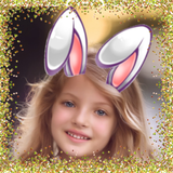 Bunny ears: rabbit face photo  Zeichen
