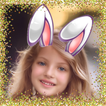 ”Bunny ears: rabbit face photo 