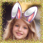 Bunny ears: rabbit face photo  icon