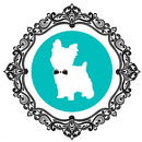 APK Dogmopolitan