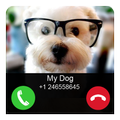 Dog Calling Prank