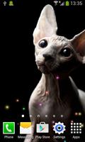 Sphynx Live Wallpaper Affiche