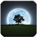 The Moon - HD Wallpapers APK