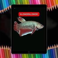 Betta Fish 3D Live HD تصوير الشاشة 1