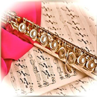 Flute Music Vidoes Collection icono