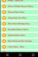 Flute Music Vidoes Collection screenshot 1