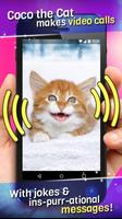 Cat Video Call Affiche