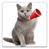 Cat Sounds APK