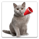 Cat Sounds APK