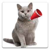 Cat Sounds ไอคอน
