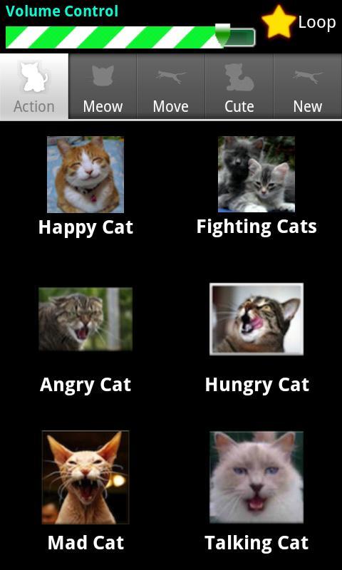 Angry Cat SOUNDS and PICTURES 