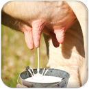 Milk Cow Game APK