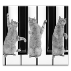Cat Piano иконка