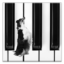 Dog Piano APK