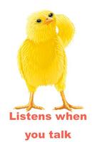 Talking Chicken Affiche