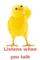 Talking Chicken poster