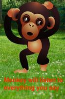 Talking Baby Monkey poster