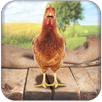 Real Talking Chicken APK