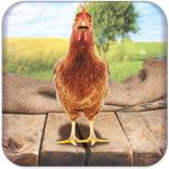 Real Talking Chicken