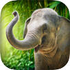 Real Talking Elephant APK