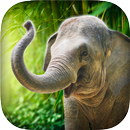 Real Talking Elephant APK