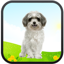 Real Talking Puppy APK