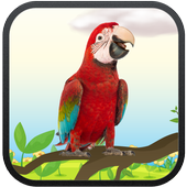 Real Talking Parrot icon