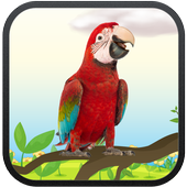 Real Talking Parrot icono