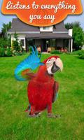 Real Talking Parrot الملصق