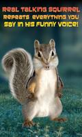 Real Talking Squirrel Plakat