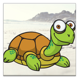Talking Tortoise