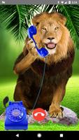 Lion Phone Calls Affiche