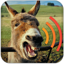 Donkey Sounds Prank APK